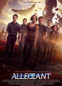 The Divergent Series